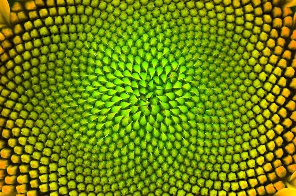 How Subtle Frequencies Influence Our Emotions