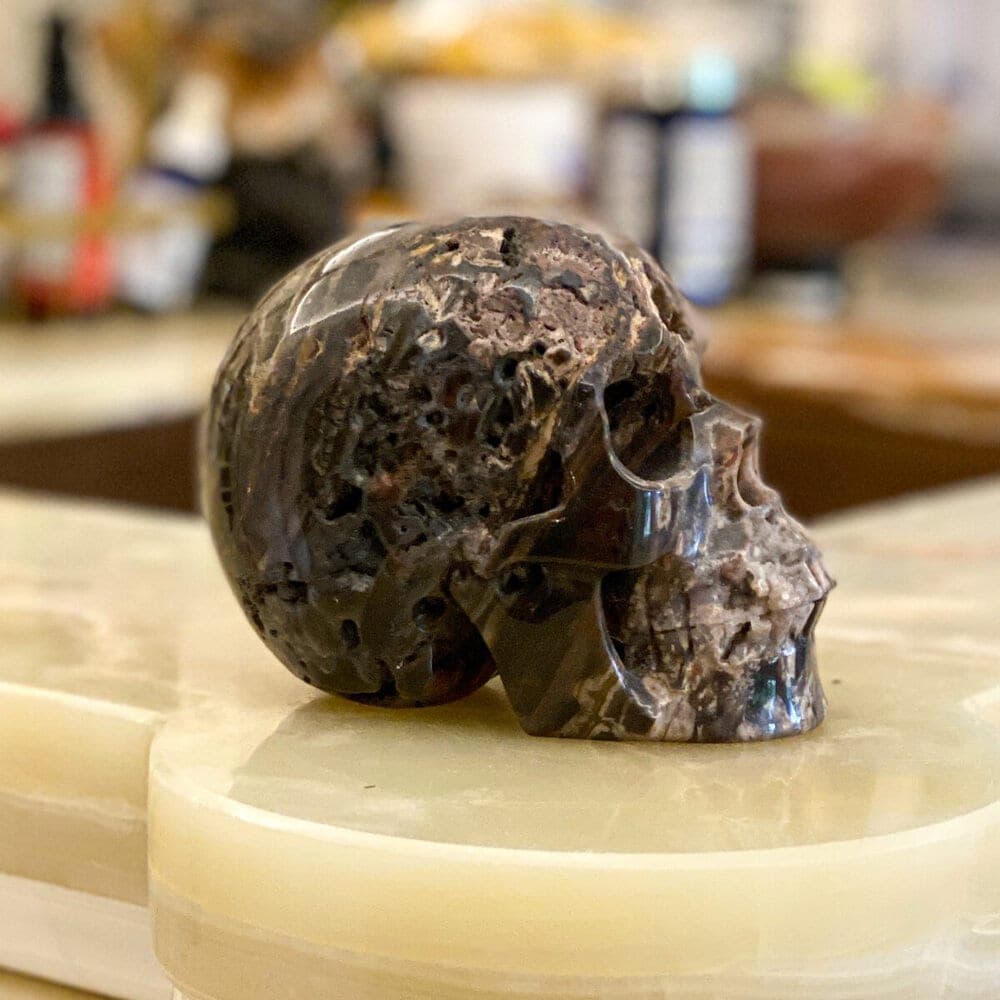 Petrified Wood Skull
