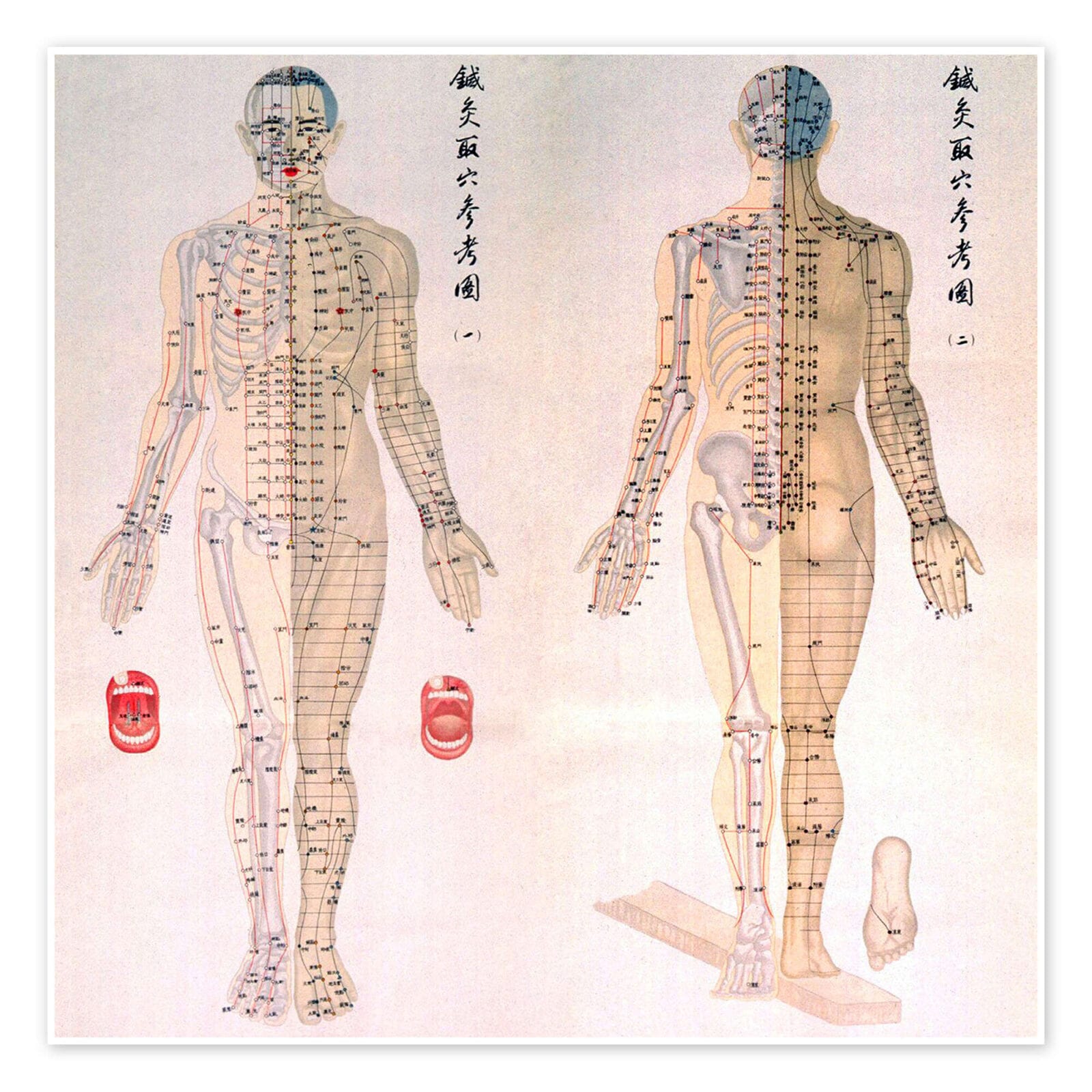 Antique Chinese chart showing front and back human figures with meridian lines, acupuncture points and skeleton overlay
