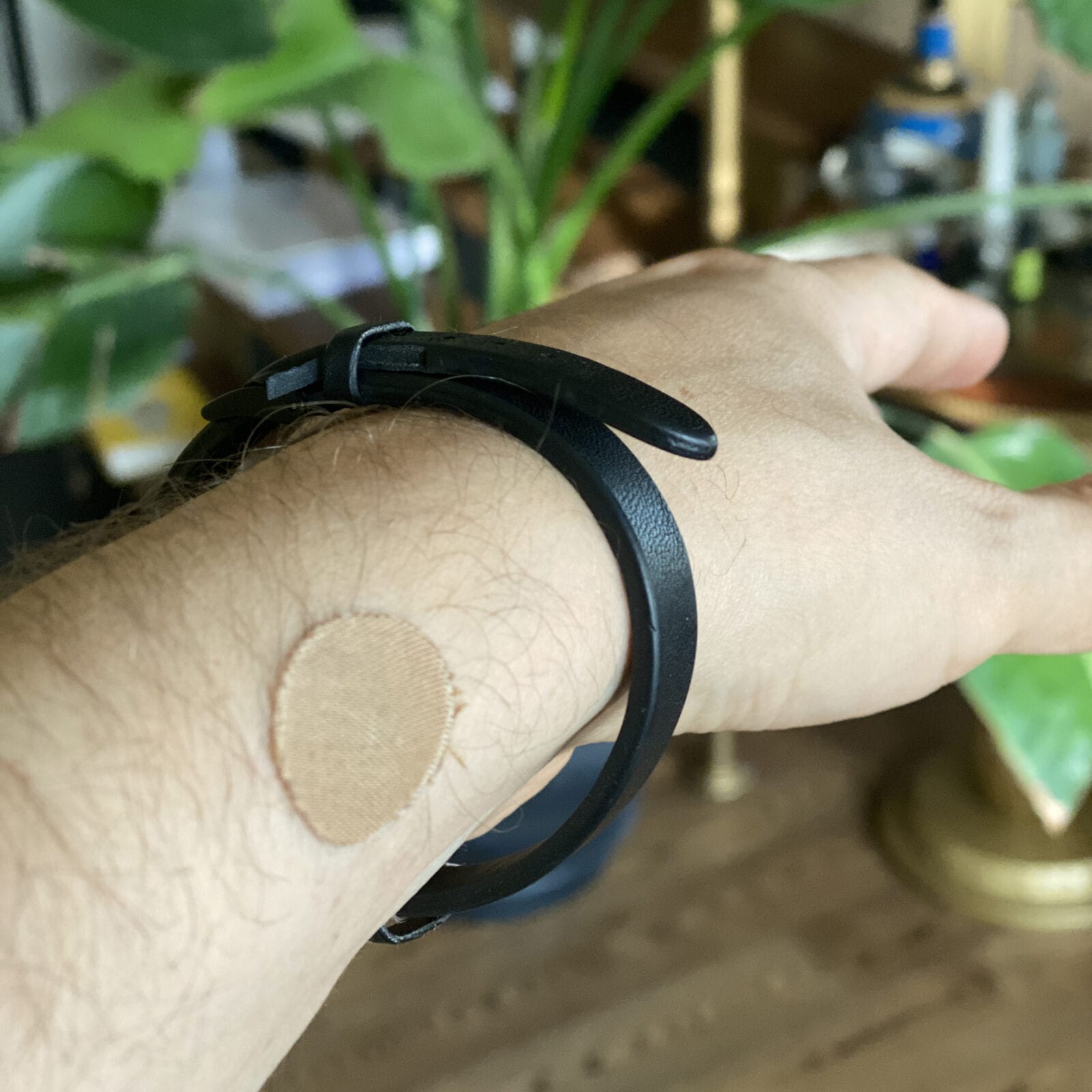 Wearing a Biotag on the Forearm Forearm with a small beige adhesive patch below a black leather bracelet, plants blurred behind