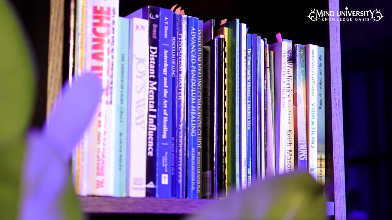 Shelf of books on pendulum healing, astrology, homeopathy and vibrations lit in purple light